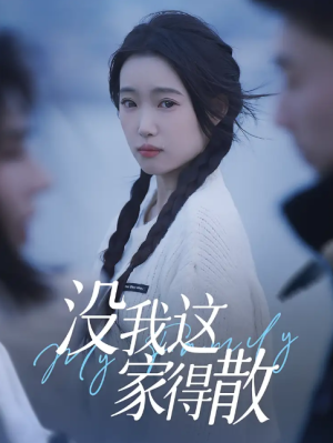 没我这家得散（42集）