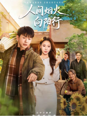 人间烟火向阳行（65集）