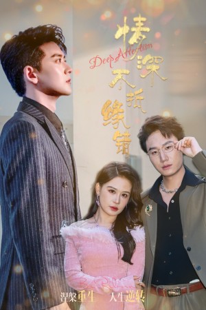 情深不抵缘错（60集）