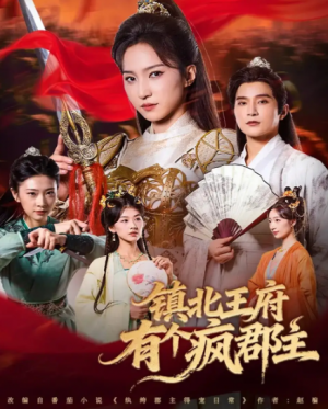 镇北王府有个疯郡主（74集）