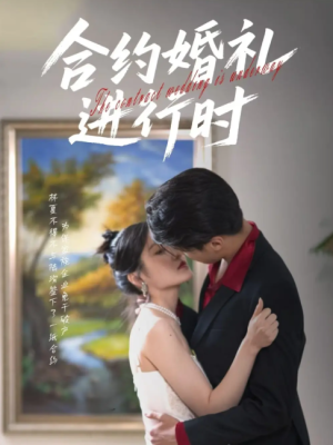 合约婚礼进行时（30集）