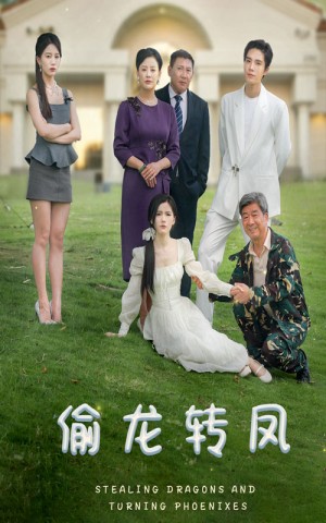 偷龙转凤(80集)
