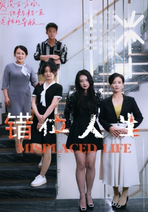 《错位人生》(89集)