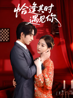 恰逢其时遇见你（60集）