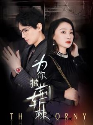 《为你披荆斩棘》(90集)