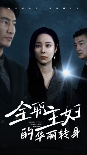 全职主妇的华丽转身（52集）