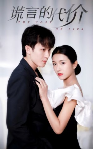 谎言的代价（30集）