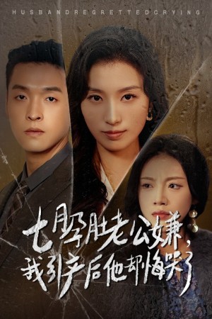 七月孕肚老公嫌我引产后他却悔哭了（44集）