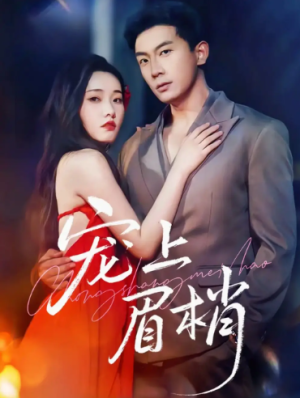 宠上眉梢（51集）