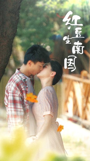 红豆生南国（53集）