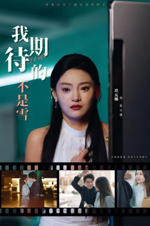 我期待的不是雪（30集）