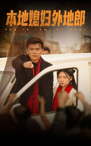 本地媳妇外地郎（35集）