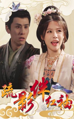 疏影伴红袖（40集）