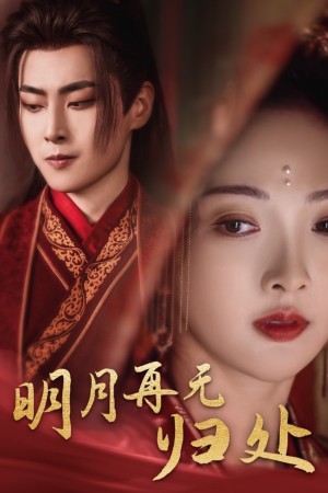 明月再无归处（39集）