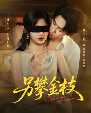 另攀金枝（60集）