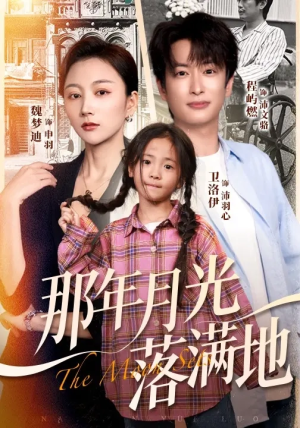 那年月光落满地（60集）