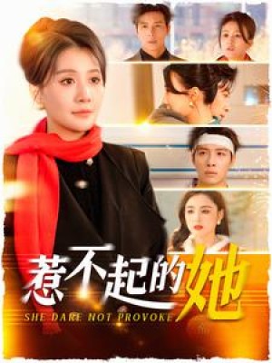 惹不起的她（106集）