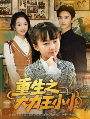 重生之大力王小小（80集）