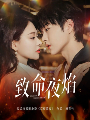 致命夜焰（80集）