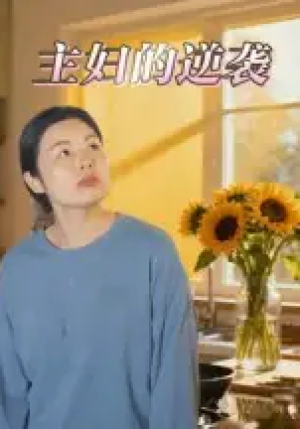 主妇的逆袭（28集）