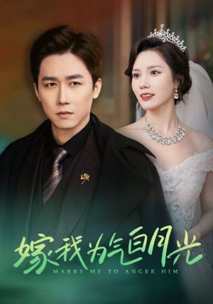 嫁我为气白月光（30集）