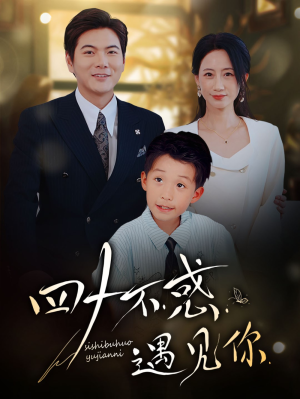 四十不惑遇见你（66集）