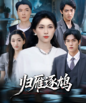 归雁逐鸠（60集）