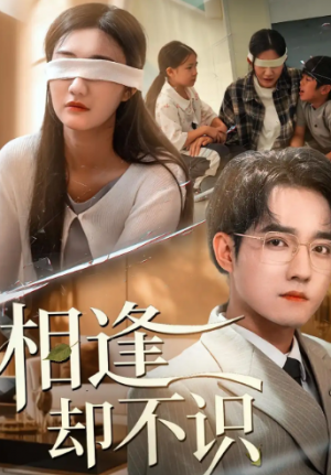 相逢却不识（77集）