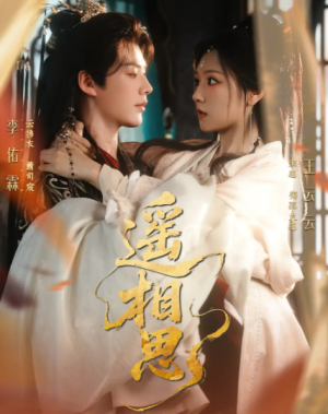 遥相思（117集）