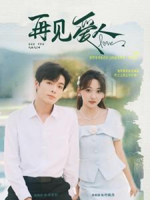 《再见爱人》(81集)