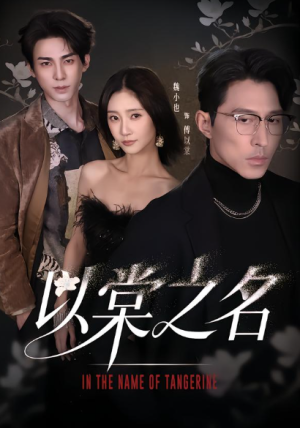 以棠之名（66集）