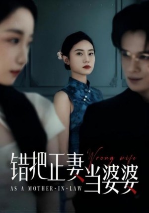 错把正妻当婆婆（46集）