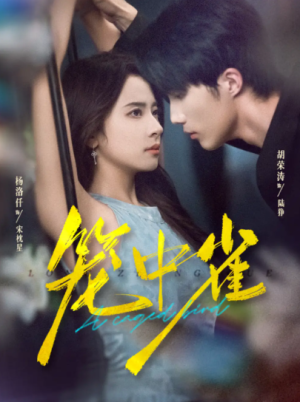 笼中雀（65集）