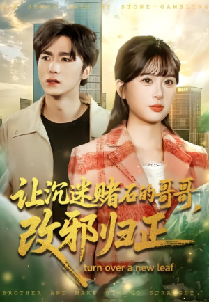 让沉迷赌石的哥哥改邪归正（50集）