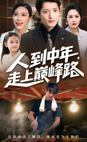 人到中年走上巅峰路（68集）