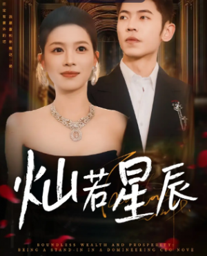 灿若星辰&这泼天富贵本替身接了(80集)