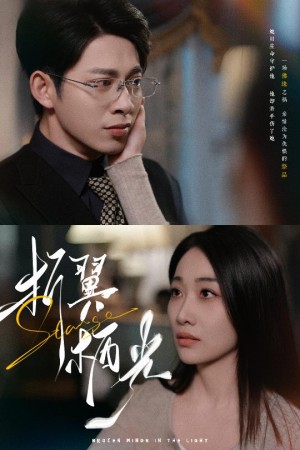 折翼栖光（43集）