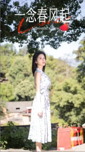 一念春风起（36集）