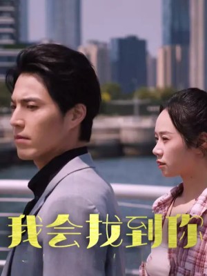 我会找到你（95集）
