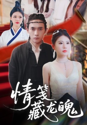 情笺藏龙魄（65集）