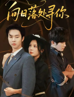 向日落处寻你（70集）