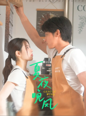 夏夜晚风（12集）