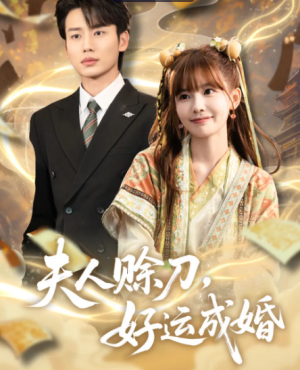 夫人赊刀好运成婚（63集）