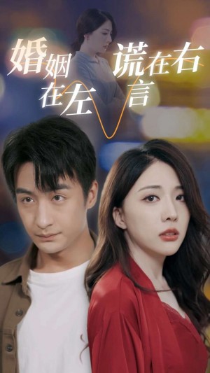 婚姻在左谎言在右(79集)