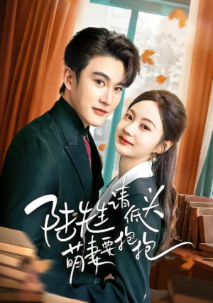 陆先生请低头萌妻要抱抱（51集）