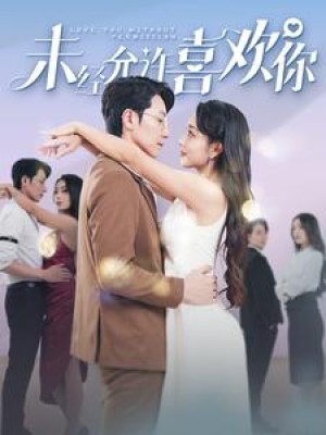 未经允许喜欢你（100集）