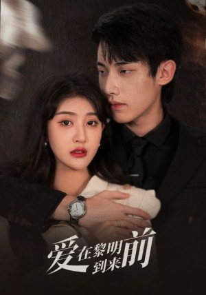 爱在黎明到来前（36集）