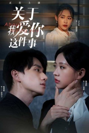 《关于我爱你这件事》(83集)