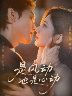 是风动也是心动（60集）