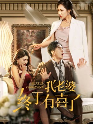 我老婆终于有喜了（40集）
